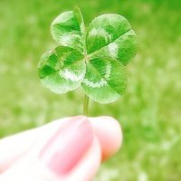 S.H.Room ♀ (@s_hroom) Twitter profile photo