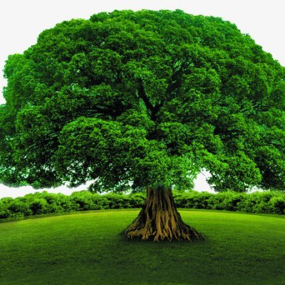 jzlihuo's profile picture. 所发信息只是记录我的炒币生活，不构成任何投资建议。