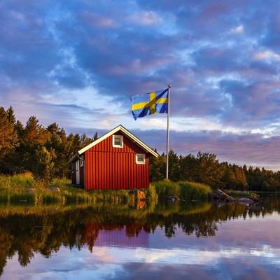 cionic_44's profile picture. 