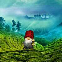 roamergnome's profile picture. Chef, Counselor, Laundry Czar, Interior Decorator, Personal Assistant, Accountant, Business Management, Resume Enhancement