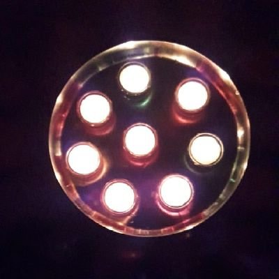 GmauSanket's profile picture. Against two 👣 animals