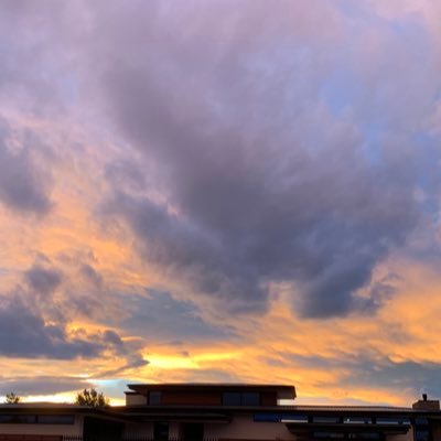 HilltopKiwi's profile picture. 