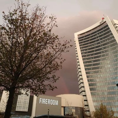 Medleycrys's profile picture. MUFC 🔴🔴 Lover of good music 🎵 SEX THERAPIST|| CRITICAL THINKER|| Sport analyst & investor