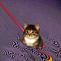 movedさんのプロフィール画像