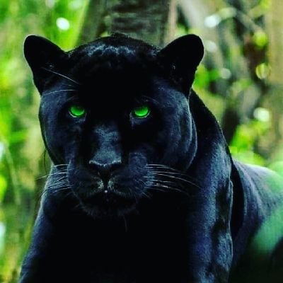 sG9mqXcbgETxEhY's profile picture. 