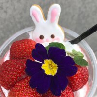 よみちゃん (@_mi_tk_) 's Twitter Profile