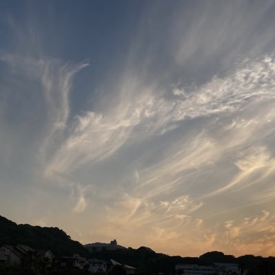 2023年3月末に親戚の神前結婚式に出席し不思議な現象が始まった。その神社は龍神様を祀っているので有名な神社である。以前から地震前に耳鳴りは有ったが、それ以来頭鳴り に変わった。地震直前に回転系の音がビュンビュン耳横でする。地震数時間前は教会の鐘や太鼓 音が頭内で連打する。野菜花作りが仕事。富士山噴火予知夢あり