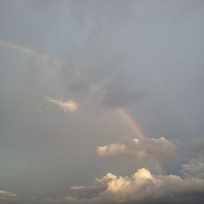 naruyoninaruha's profile picture. ふりかえってみるだけです。