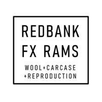 Dale Harris (Redbank FX Rams)(@redbankgrazing) 's Twitter Profile Photo