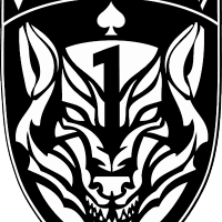 Wolfpack Commando Softair(@WolfpackSoftair) 's Twitter Profile Photo