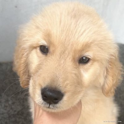 ta_yan358's profile picture. ㊗️㊗️🎊2025年ファーム日本選手権優勝🎊🏆㊗️㊗️⚾️⚾️ドラゴンズと🐦マリーンズを愛する野球好き⚾️⚾️🤯常にポジティブに応援📣/📻ラジオでも呟いてます🤯🈲エロネタ政治ネタ宗教ネタはブロックします🈲