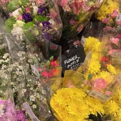 hariboo_oi's profile picture. 