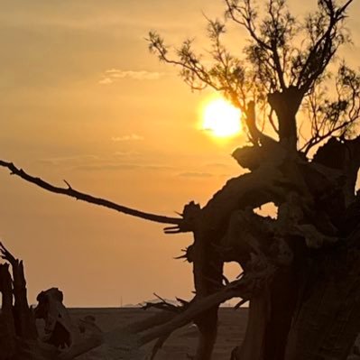 mohs1396's profile picture. دَعِ الأَيَّامَ تَفْعَل مَا تَشَاءُ * وطب نفساً إذا حكمَ القضاءُ