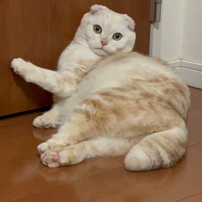 aL8bd3tetMOdvGJ's profile picture. 前の垢消えましたw
ライフアフター 砂鯖 かいたん12 で  やってます！
     
ライフアフターお休み中( ˘ω˘)ｽﾔｧ

APEX、フォトナもやってます( *^艸^*)