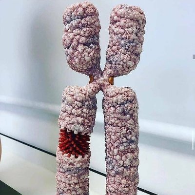 DivaOracle's profile picture. 