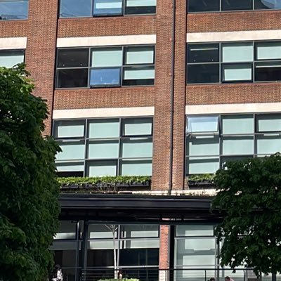 amoralhazards's profile picture. 