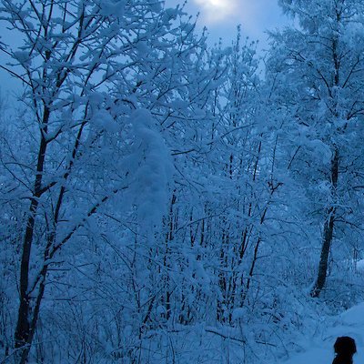 VIVIDMINDING's profile picture. " ‘Maybe One Day’ a Man of Science "

I know