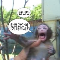 구독계 (@cliimp_rowell) 's Twitter Profile