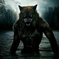 Logan Haggerton (@loganeggerton) 's Twitter Profile