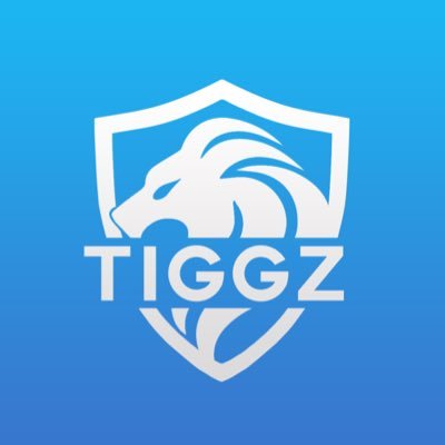 TIGGZ Profile