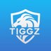 TIGGZ (@TIGGZVids) Twitter profile photo