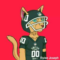 Rylee Joseph (@yleejoseph) 's Twitter Profile