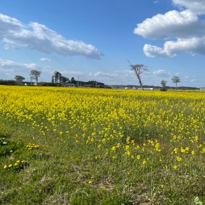 先天性網膜色素変性症の弱視→見えづらさを抱え、泣いて悩んでいろーんなことがあったけれど、第二章は、新たな一歩を踏み出して、毎日ちっちゃな幸せに気づきながらしわくちゃ笑顔で笑っていこう→大好きなものは、スイーツ、カフェ、お洒落、美容、アロマ、自然、音楽、ドラム、温泉、愛犬トイプー、旦那さん→日々の思い出つづってます