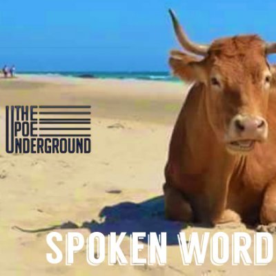 The Poe Underground is a spoken word music project, marrying poetry and orignal music.