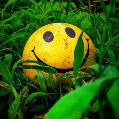 JoelKing2527's profile picture. Taking advantage of opportunities