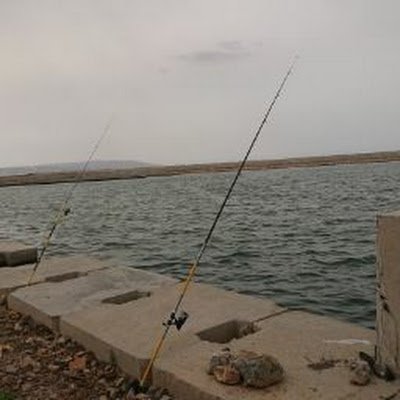 SmailChefa91021's profile picture. 