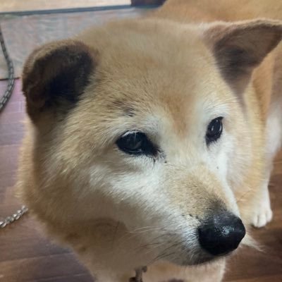 FAIL_1215's profile picture. 04 20歳 大学生