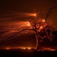 Lara (@lara_cova_) 's Twitter Profile Photo