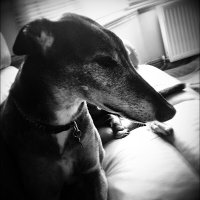 David Wallis (@davidwallis883) 's Twitter Profile
