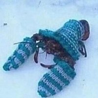 ough (@oughhhhhhhhh) 's Twitter Profile