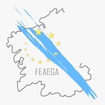 FEAE de Galicia Forum Europeo de Administradores da Educación E-mail: feaegalicia@gmail.com