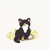 보광동냥이들 임보처구함 동물알티계 (@private_hongcha) Twitter profile photo 보광동냥이들 임보처구함 동물알티계 (@private_hongcha) Twitter profile photo