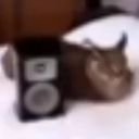 kazzurroo's profile picture. ashjdf