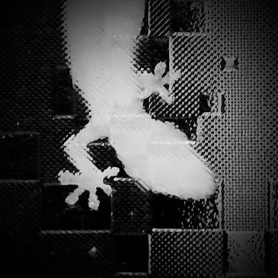 シガツさんのプロフィール画像