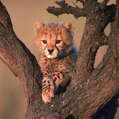 my_universe7134's profile picture. 