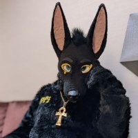 ✨Alexei Jackal✨(@AlexeiJackal) 's Twitter Profile Photo