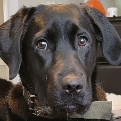 JCerol2's profile picture. 