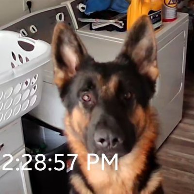 RichardHasSex's profile picture. your cringe is what makes you based