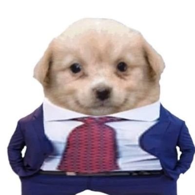 noon4s's profile picture. Header made by @KFramed