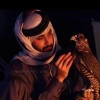 الـ ـ ح ـ رف ✺♩✺🦅 (@m____l11) 's Twitter Profile Photo الـ ـ ح ـ رف ✺♩✺🦅 (@m____l11) 's Twitter Profile Photo