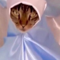 SeabraLivia (@seabra2909) 's Twitter Profile