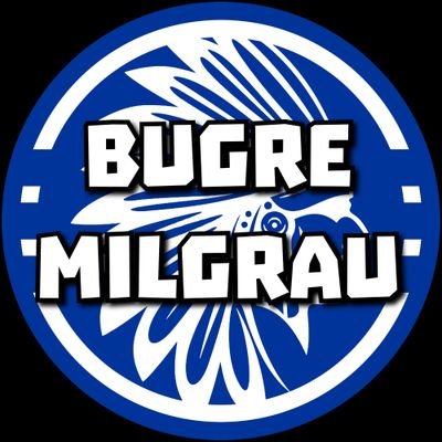 bugremilgrau_sc Profile Picture