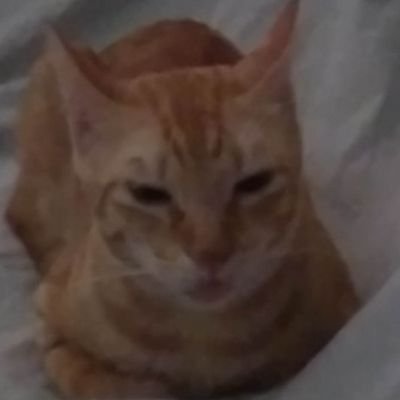 JmArellano10's profile picture. 𝓜𝓮𝓶𝓮𝓷𝓽𝓸 𝓶𝓸𝓻𝓲 || 侘寂