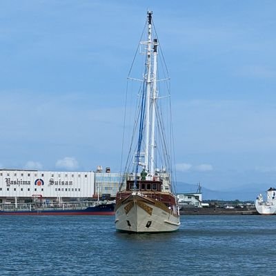 yPIAb8UuaK87285's profile picture. 