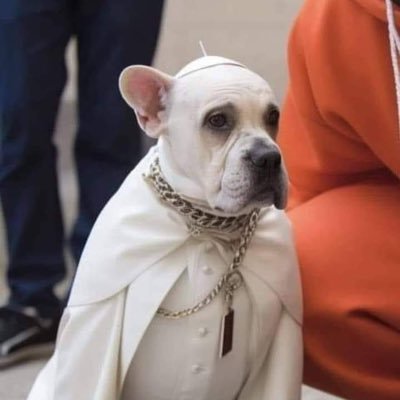 DavideTheGr8's profile picture. Famiglia e libertà