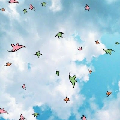 shaf85592's profile picture. 